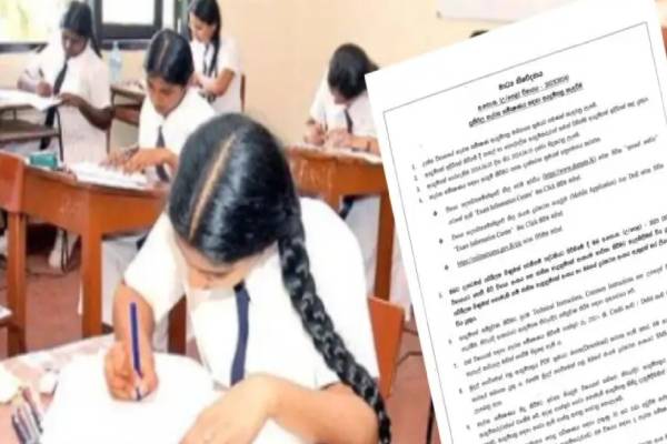 24-666f817018cd7