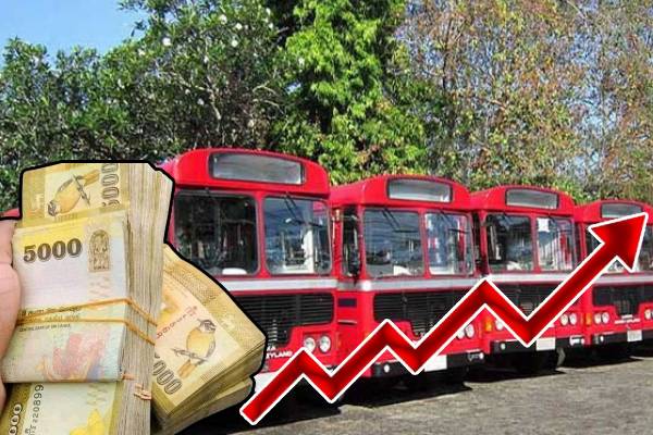 24-667aa5778411d