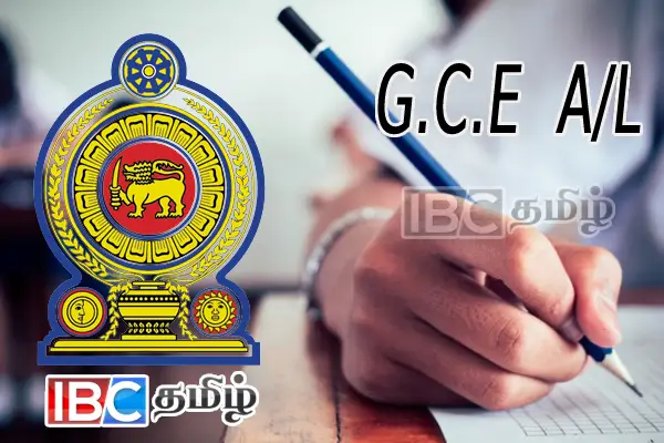 24-6743e1f8a3eda