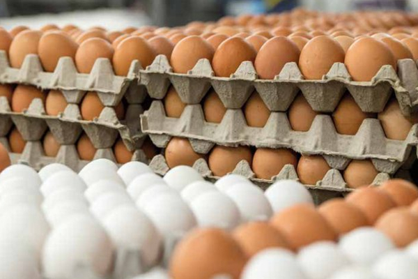 24-66e3a04465119