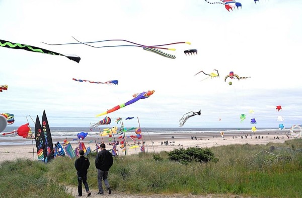 1786944933-rockaway-beach-kites03 image