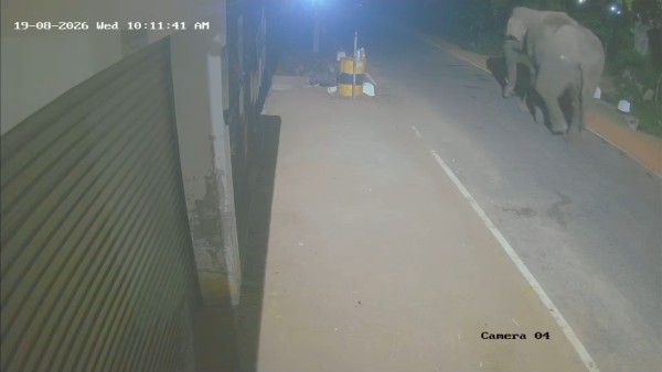 1787211275-vid-20260820-wa0029 image