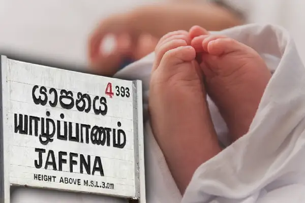 24-66c7fb33f1d2a
