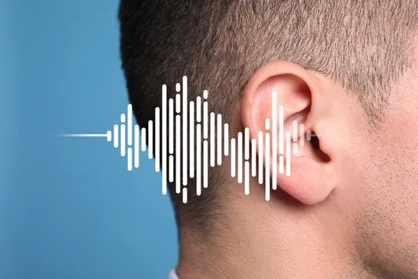 1788862962-noise_induced_hearing_loss_overview-1 image