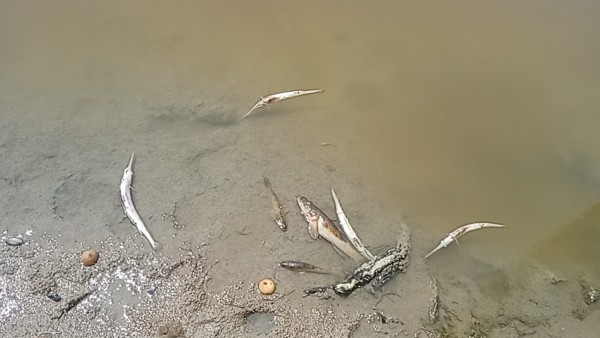 1789434900-1001028813 image