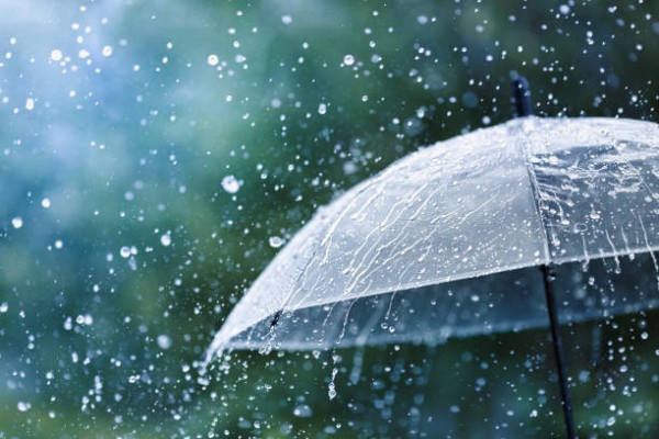 1789535640-istockphoto-1257951336-612x612-1 image